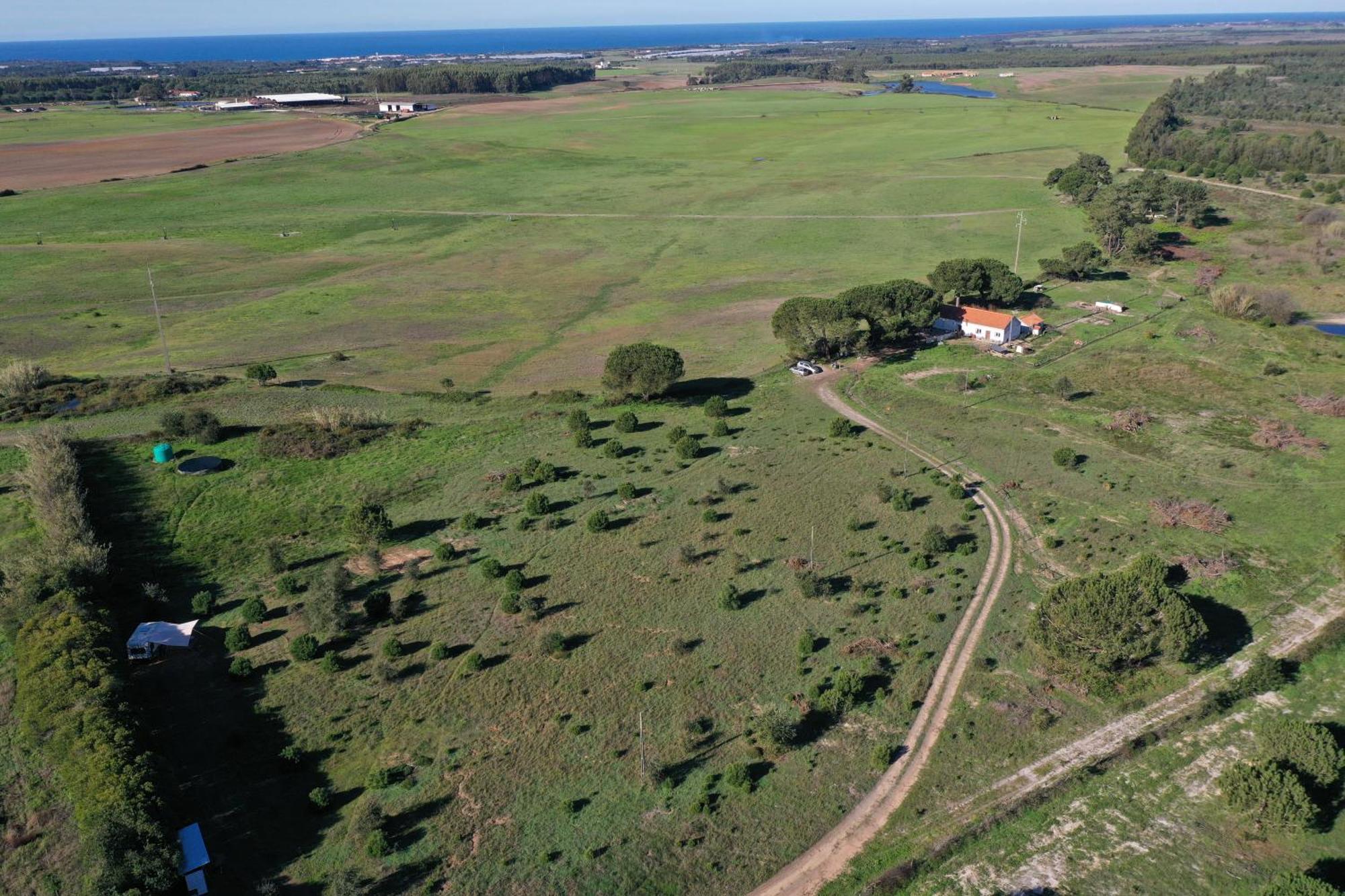 Hotel Cosy Nest In Animal Rescue Monte Dos Vagabundos São Teotónio Zewnętrze zdjęcie