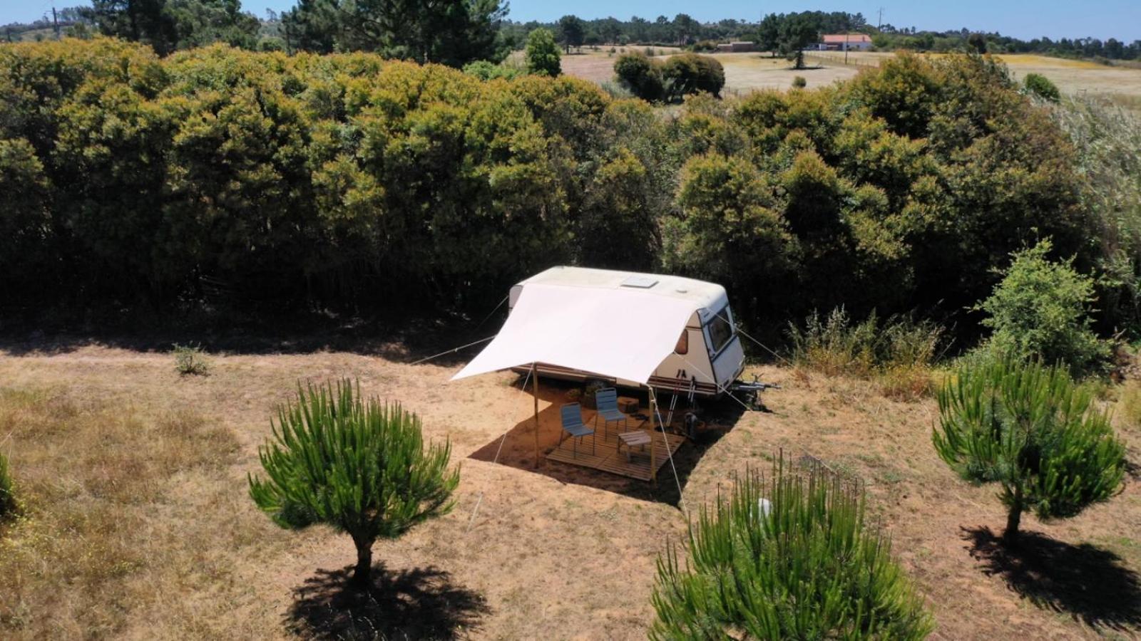 Hotel Cosy Nest In Animal Rescue Monte Dos Vagabundos São Teotónio Zewnętrze zdjęcie